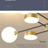 Globe Glass Ceiling Light with Luxurious Iron Branch Design