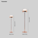 Floor LED Lamps with Nordic Metal Design