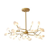 Shell Branches for Living Room Chandelier - Clowas