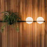 Modern Black Wall Light with Green Plants