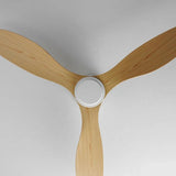 Modern Ceiling Fan Light With Inverter Silent Design