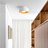 Wabi Sabi Woodgrain Metal Entryway Ceiling Light