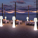 Outdoor Waterproof Glowing Pillar LED Floor Lamp