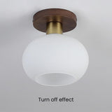 Simple Glass Flush Ceiling Light for Hallway