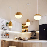 Rustic Wood Pendant Light with Nut Shape
