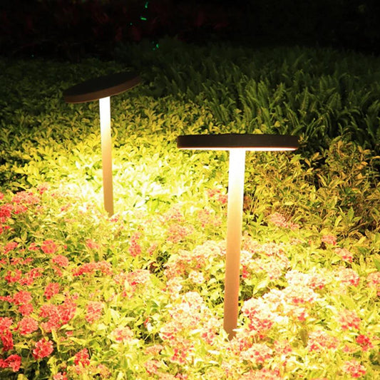 Best Solar Path Lights for Garden Paths