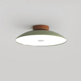 Cream Eye-Caring Flush Green Ceiling Light