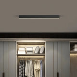 Minimalist Linear Flush Ceiling Light Black Metal for Living Room, Anti-Glare