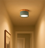 Macaron Cylinder Eye-protection Ceiling Downlight for Hallway