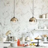 Glass globe pendant light with adjustable suspension