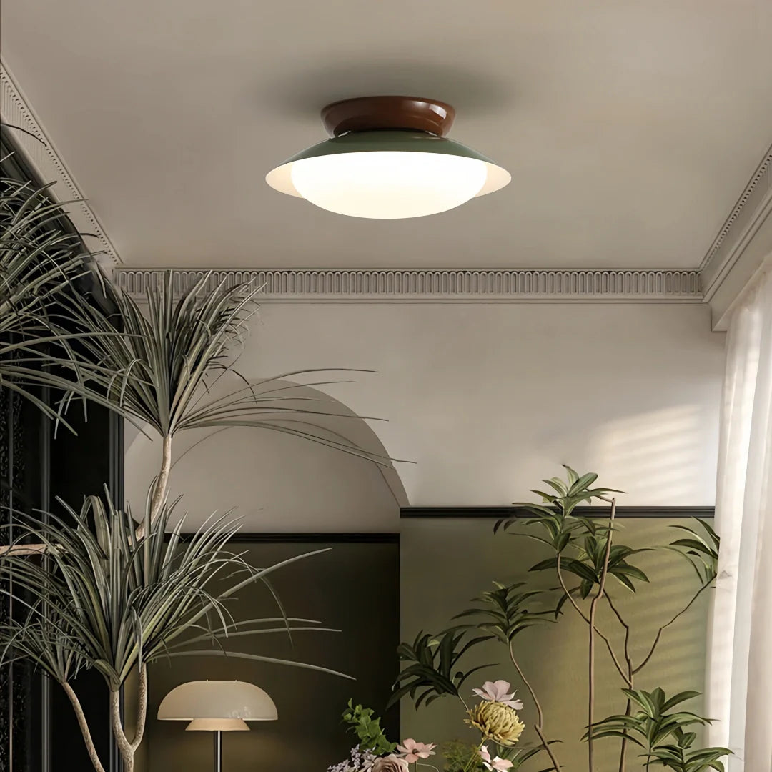 Minimalist flush ceiling light for a clean and modern living room