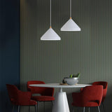 Simple Black Industrial Pendant Light With Cone