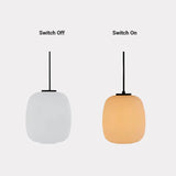 Ambient Pendant Outdoor Lantern Lights - Clowas