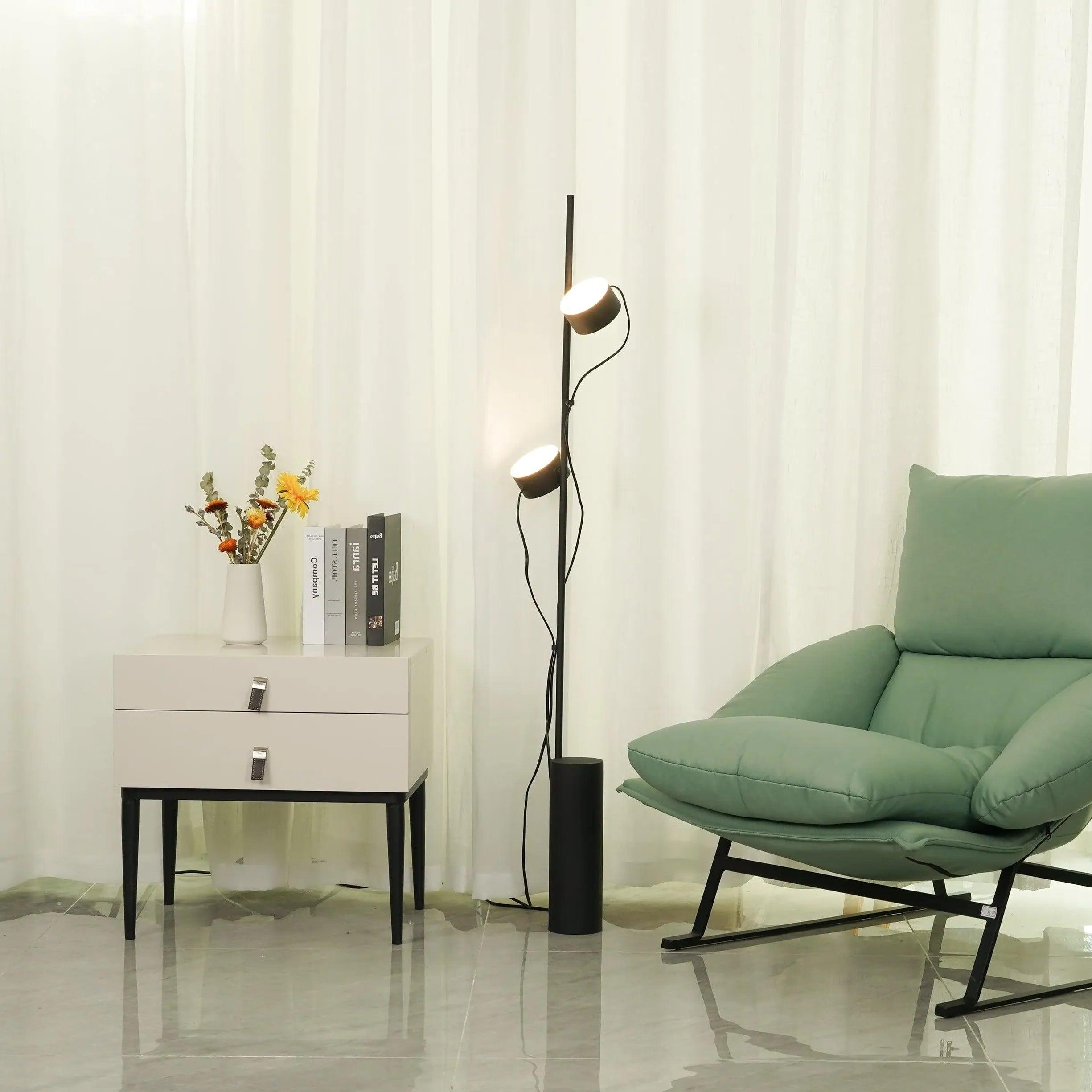 Dual-Head Adjustable Direction Black Plug-In Floor Lamp - Clowas