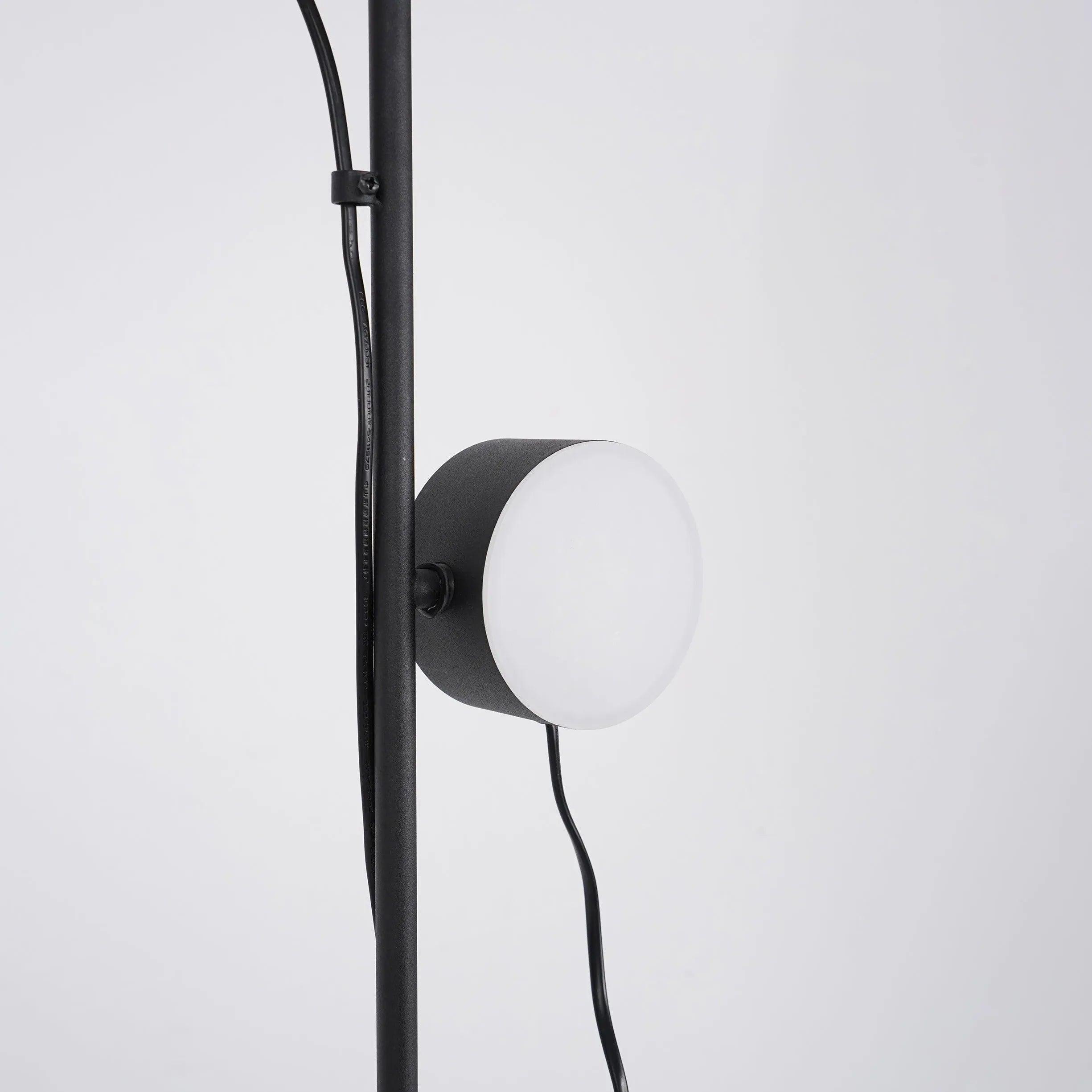 Dual-Head Adjustable Direction Black Plug-In Floor Lamp - Clowas