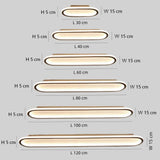 Minimalist Oval Flush Ceiling Light Dimmable for Living Room