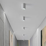 Cylindrical Living Room Modern Ceiling Downlight - Clowas