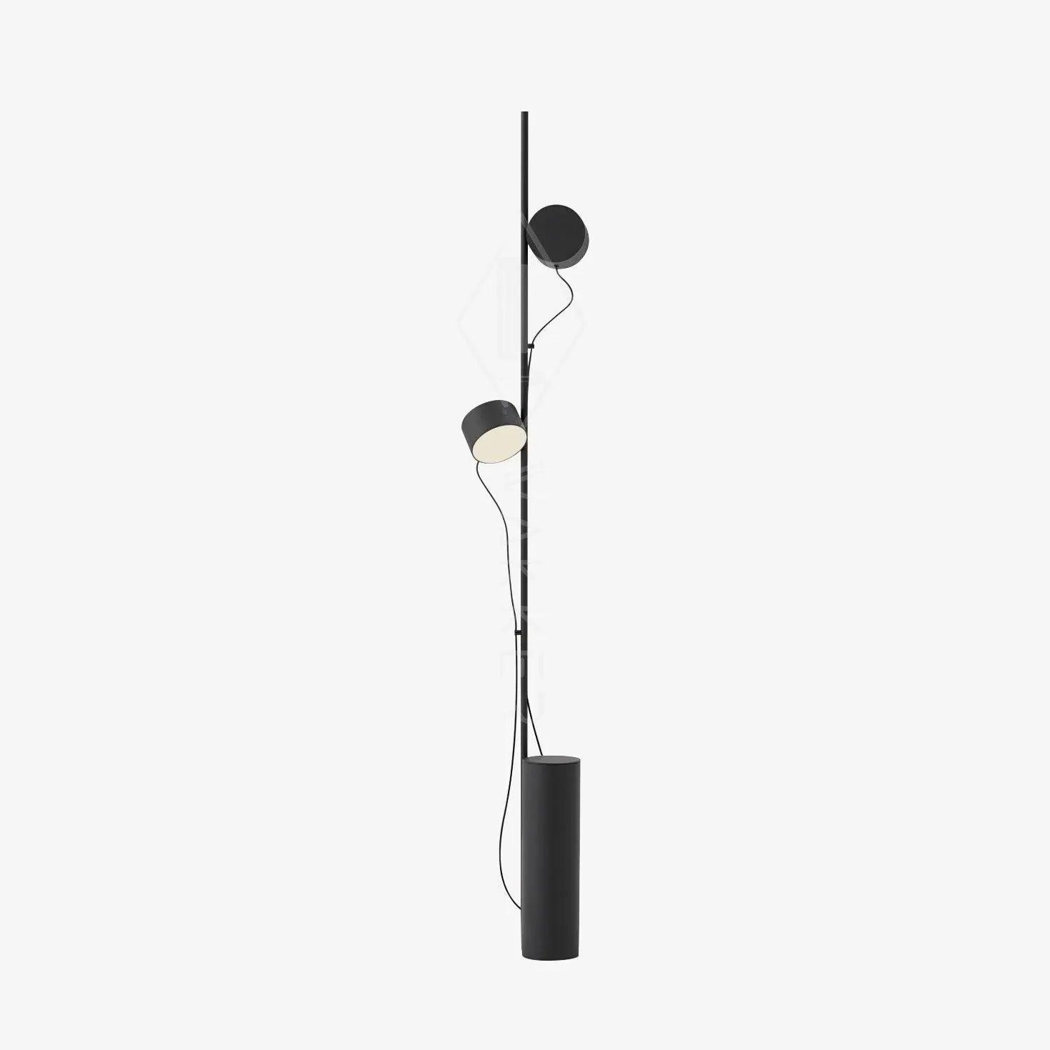 Dual-Head Adjustable Direction Black Plug-In Floor Lamp - Clowas