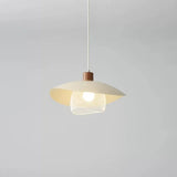 Light Wood Warm White Pendant Light - Clowas