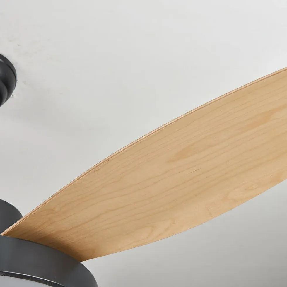 Five-Blade Modern Study Room Fan Light - Clowas