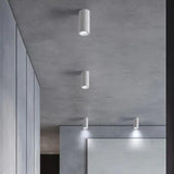 Cylindrical Living Room Modern Ceiling Downlight - Clowas