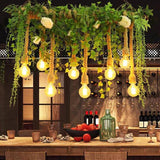 Hanging Plant & Exposed Bulb Decorative Pendant Light - Clowas