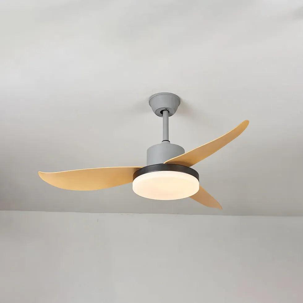 Curved Blade Modern Dining Room Fan Light - Clowas