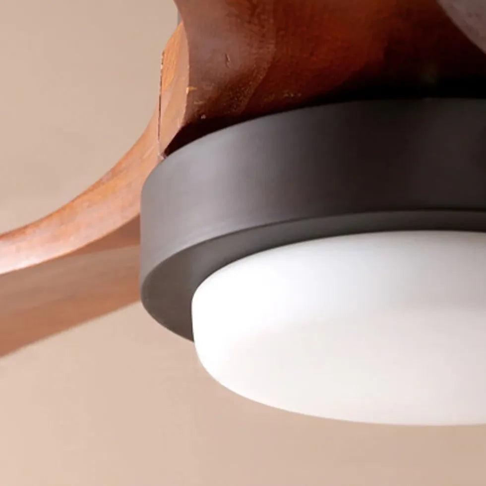 Black Modern for Study Room Fan Light - Clowas