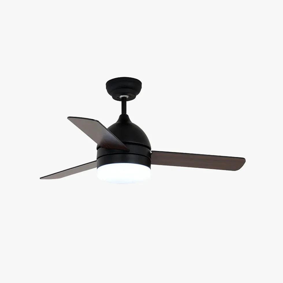 Black Modern Living Room Fan Light - Clowas