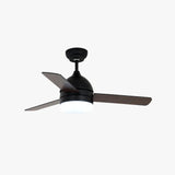 Black Modern Living Room Fan Light - Clowas