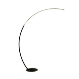 Linear Minimalist Curved Design Floor Lamp - Clowas