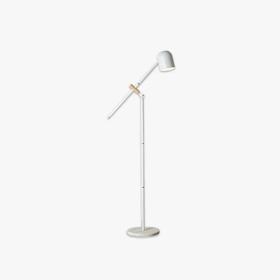 Adjustable Long Pole Reading Floor Lamp - Clowas