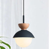 Single Head Glass Globe Pendant Light - Clowas