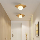 Minimalist Corridor Dark Wood Ceiling Light