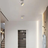 White Downlight Modern Flush Ceiling Lights - Clowas