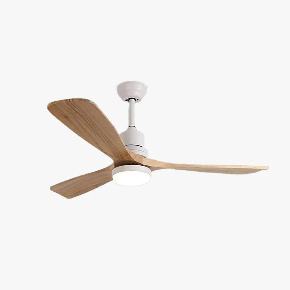 Three Leaves Modern Ceiling Fan with Light - Clowas