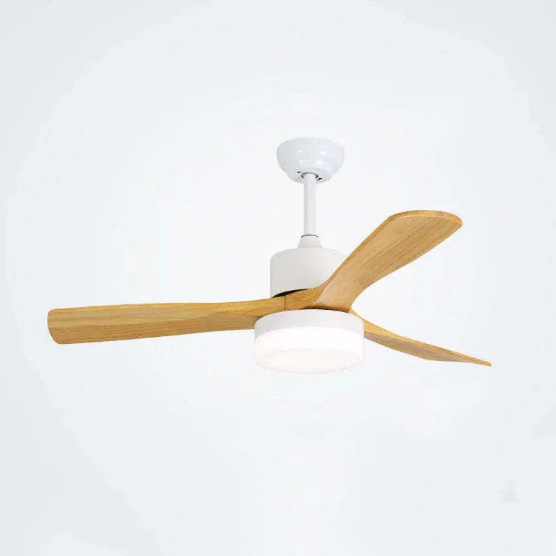 Nordic Minimalist Ceiling Lighting with Fan for Living Room
