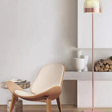 Floor LED Lamps with Nordic Metal Design