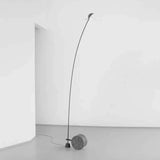 Arc Floor Lamp with Modern Adjustable Iron Design