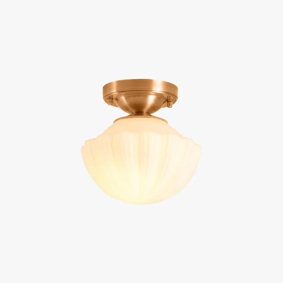 Concise Living Room Flush Ceiling Lights - Clowas