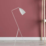 Slanted Tripod Minimalist Floor Lamp - Clowas