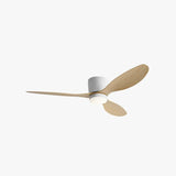 Modern Ceiling Fan Light With Inverter Silent Design