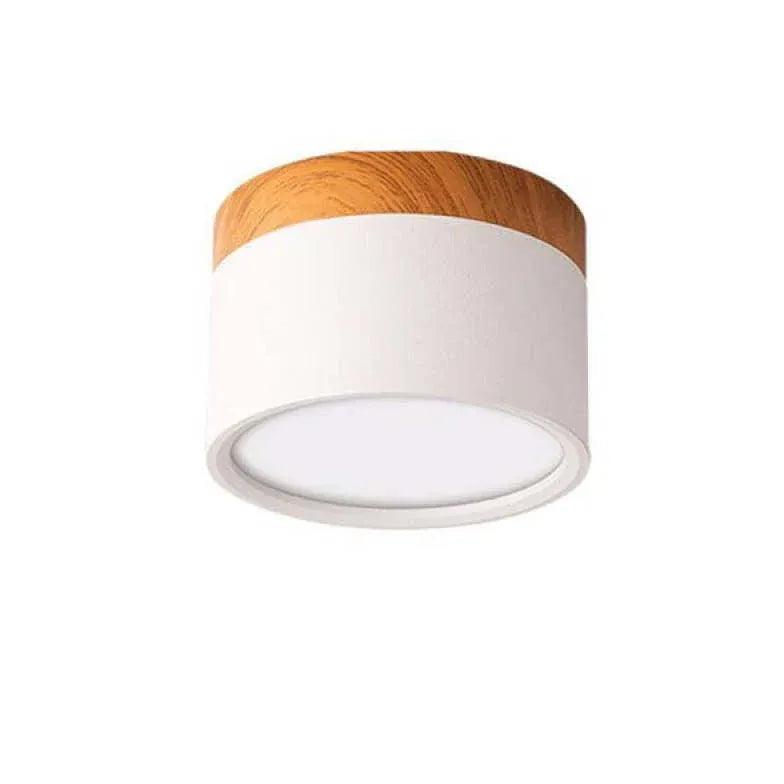 Yellow Downlight LED Modern Flush Ceiling Lights - Clowas